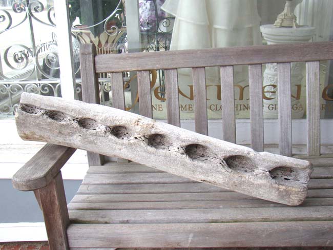 A 19th century 3' section from a sperm whale's jaw bone